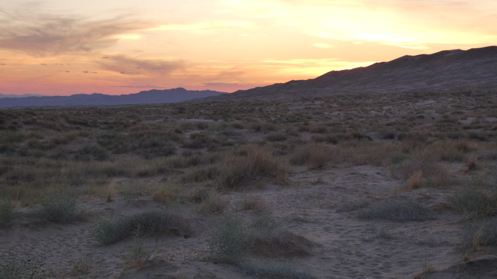 Welcome! - Tales from the Desert exploring, hiking, petroglyphs, rock ...