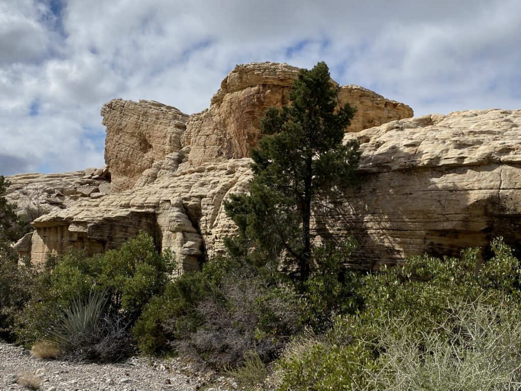 Sandstone Quarry - Tales from the Desert